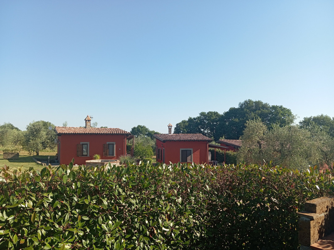 Agriturismo Poggio Degli Ulivi主图