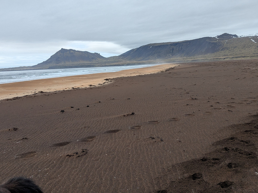 Stori Kambur Horse Rental-Snaefellsbaer必去景点