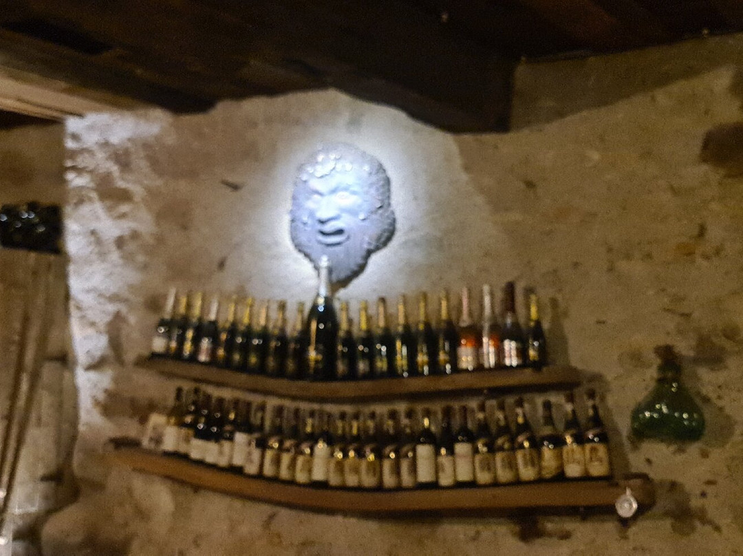 Castello Rametz - Wine Museum-梅拉诺必去景点