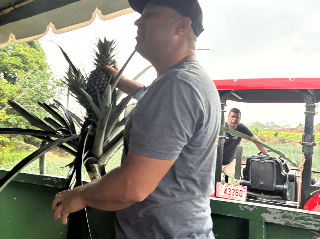 The Best Pineapple Tour Costa Rica-Rio Cuarto必去景点