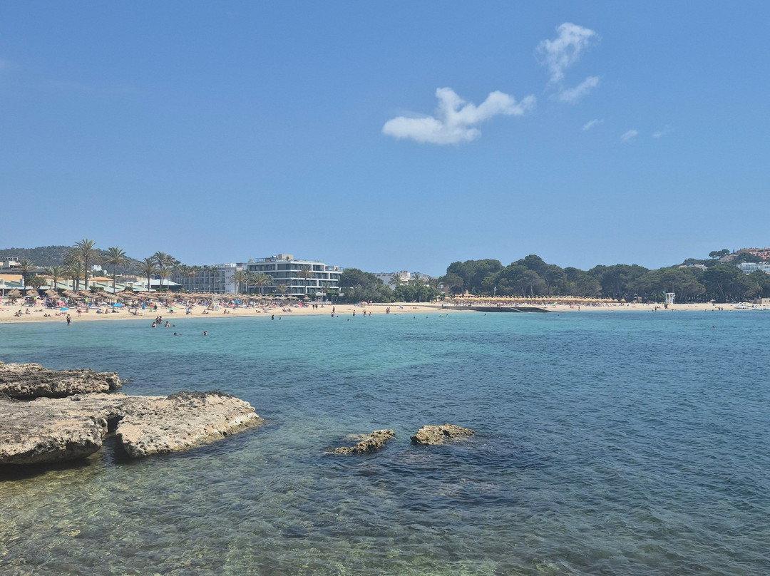 Playa Santa Ponça-圣庞沙必去景点