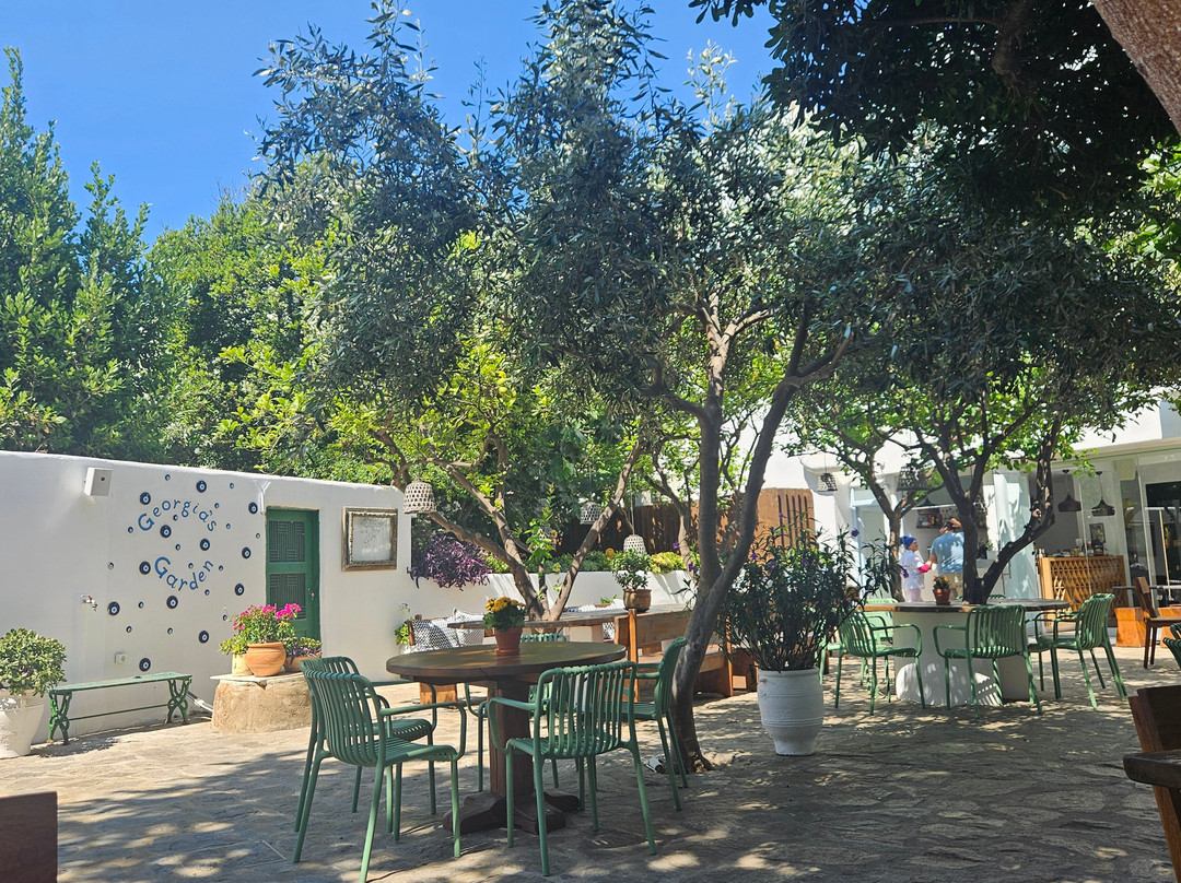 Georgia's Garden