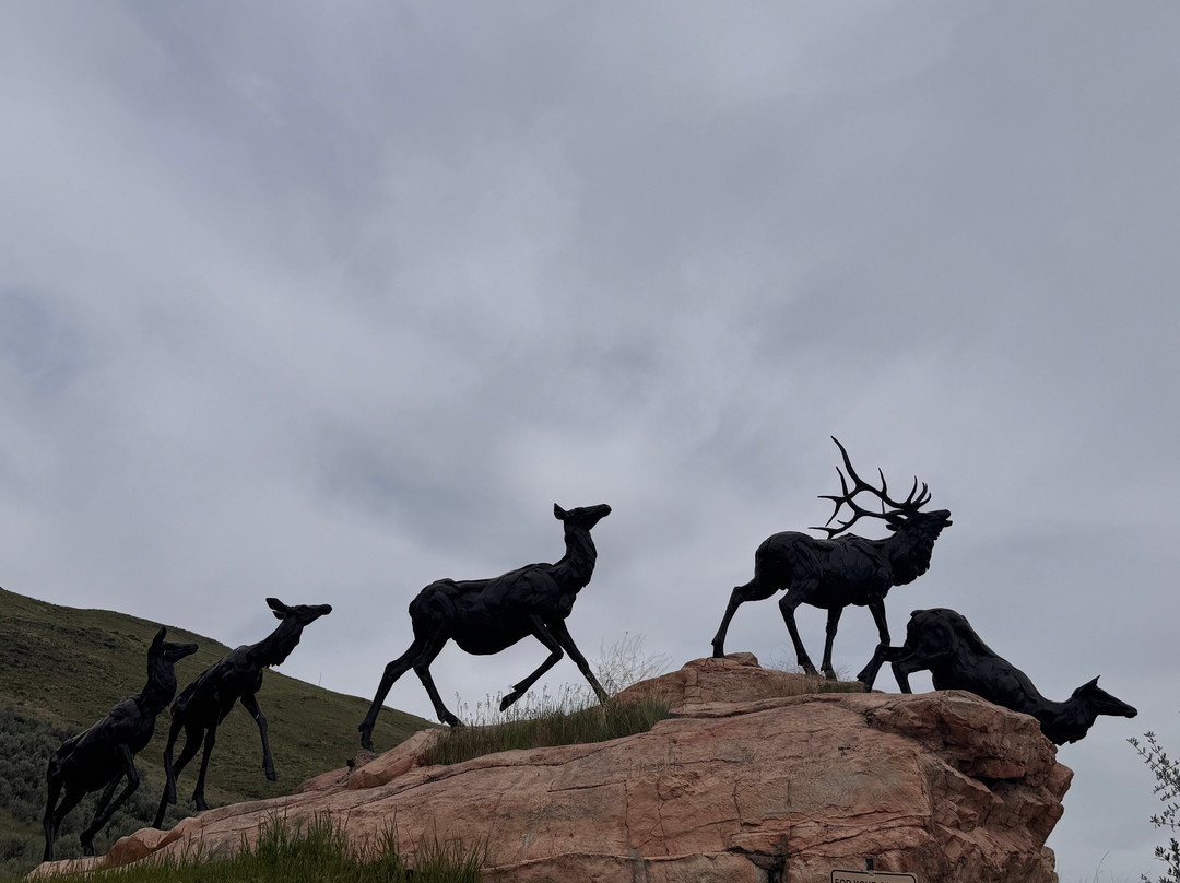National Museum of Wildlife Art-杰克逊必去景点