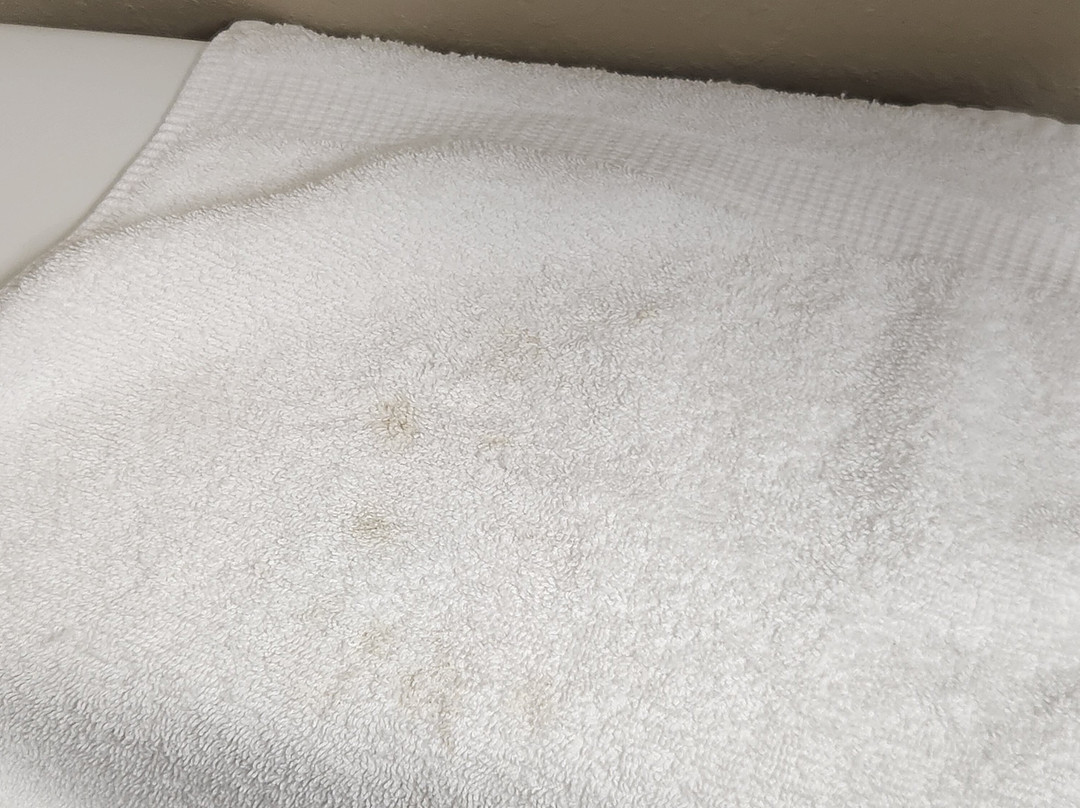布拉多贝斯特韦斯特酒店主图