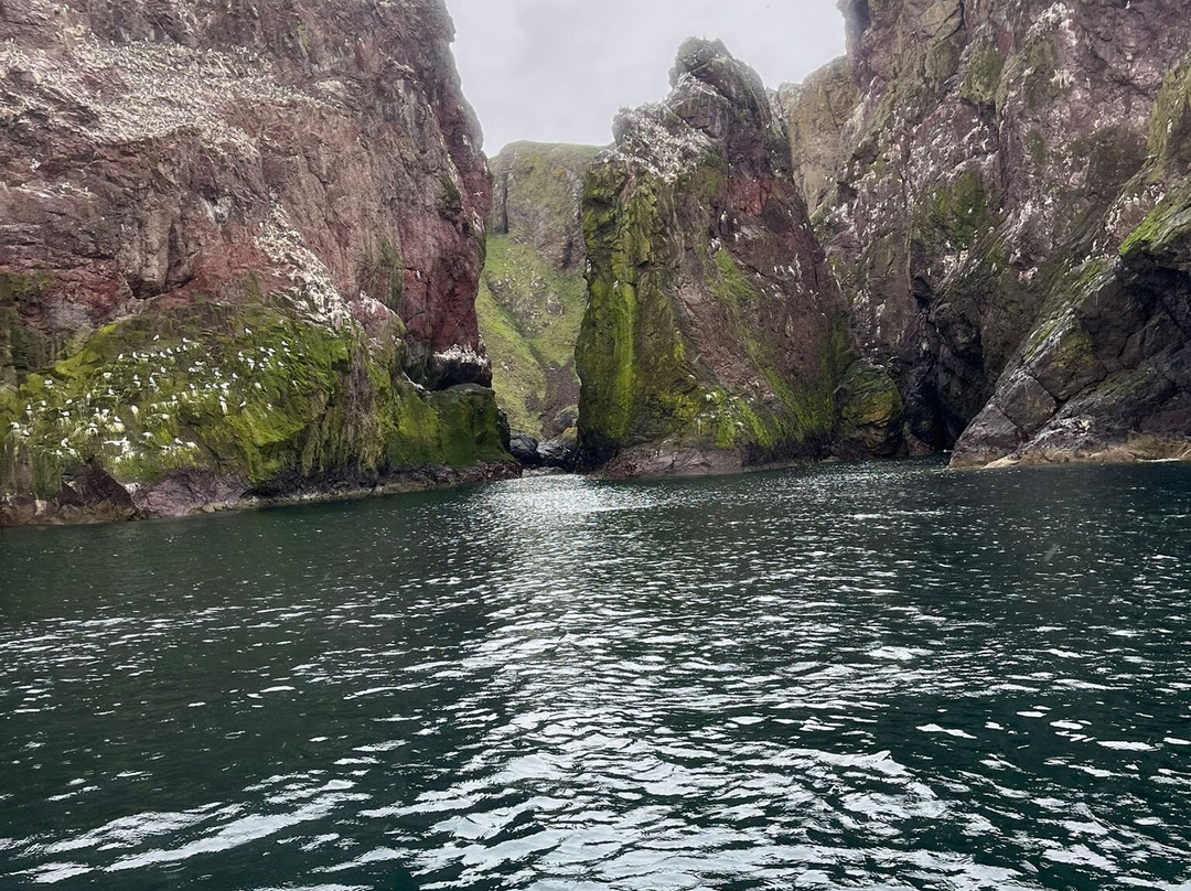 Eyemouth Rib Trips-Eyemouth必去景点