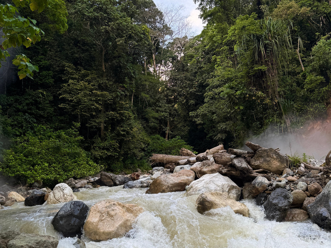 Jack Jungle Trip-Ketambe必去景点