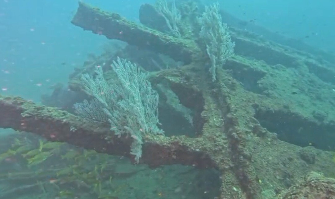 Scuba Addicts Dive Center Passikuda-卡尔库达必去景点
