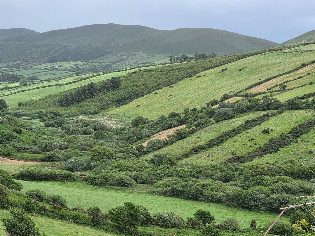 Connect the Dots Tours of Ireland-都柏林必去景点