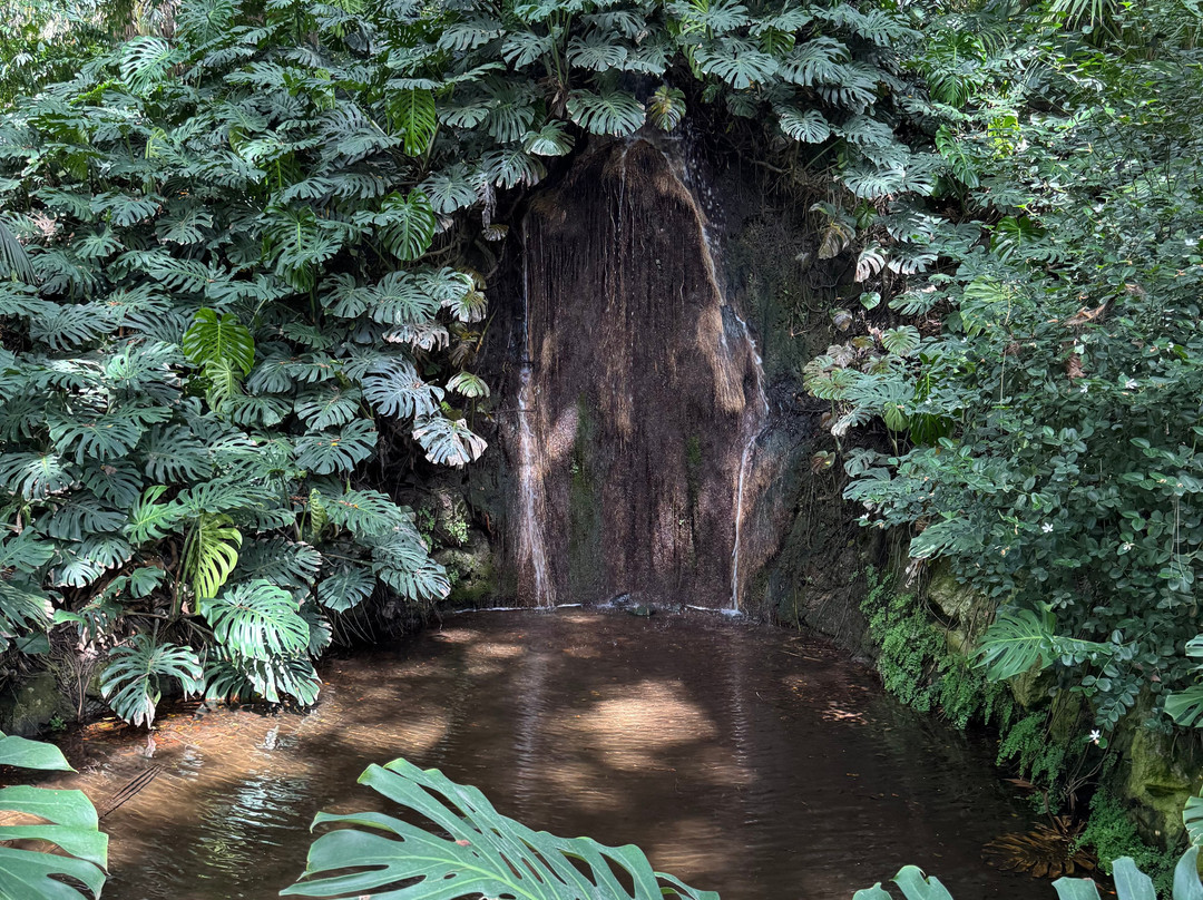 Jardín Botánico Histórico La Concepción-马拉加必去景点