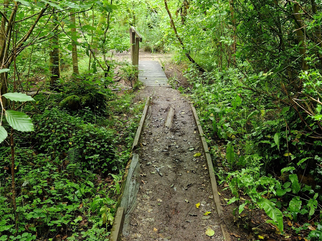 King's Wood-Pentewan必去景点
