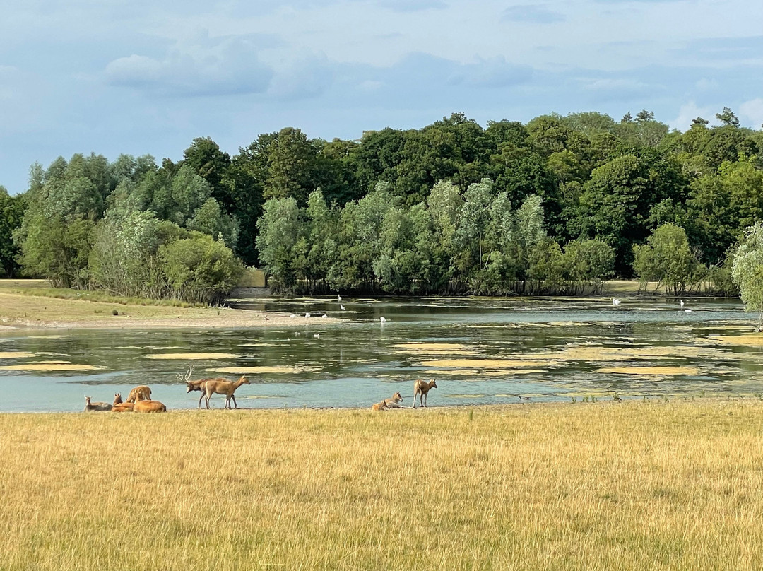 Watatunga Wildlife Reserve-金斯林必去景点