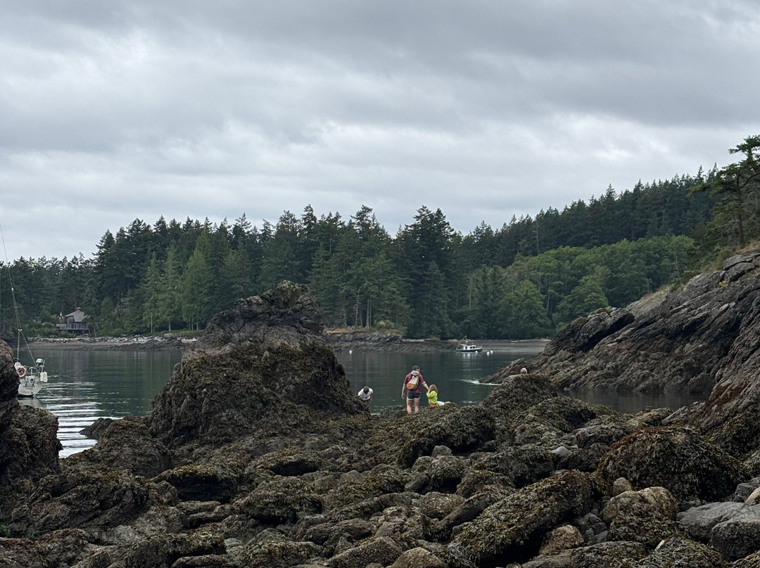 Doe Bay Resort & Retreat主图