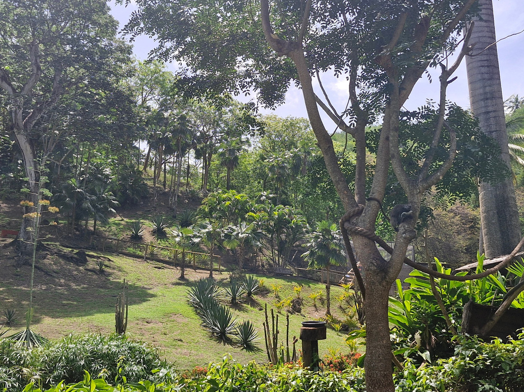 Zoo de Martinique-Le Carbet必去景点