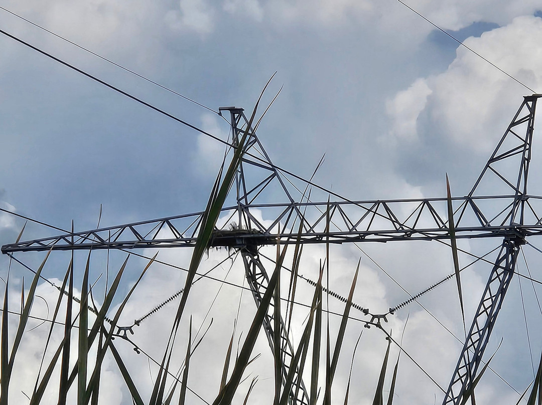New Orleans Airboat Tours-Marrero必去景点