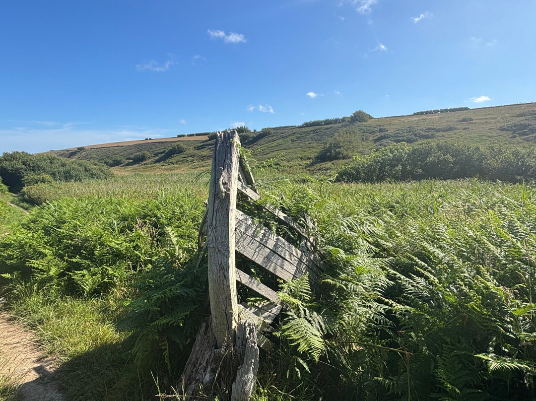 Carnewas and Bedruthan Steps-St Eval必去景点
