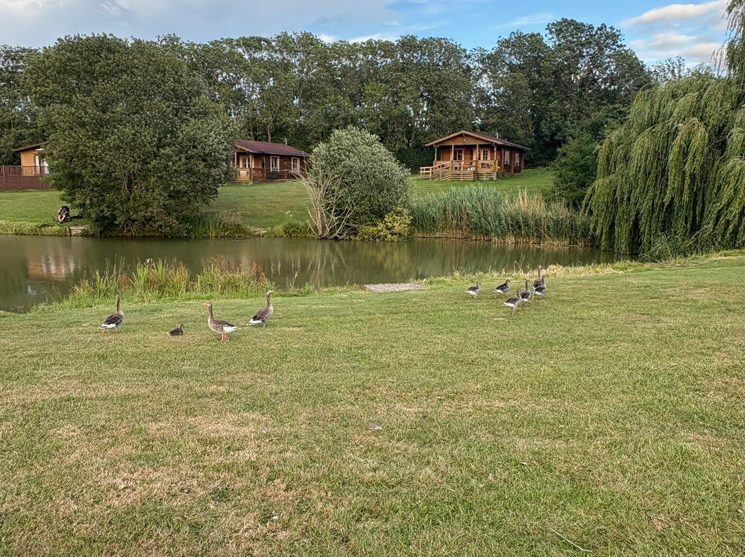 Waterloo Farm Leisure Fishery-Great Oxendon必去景点
