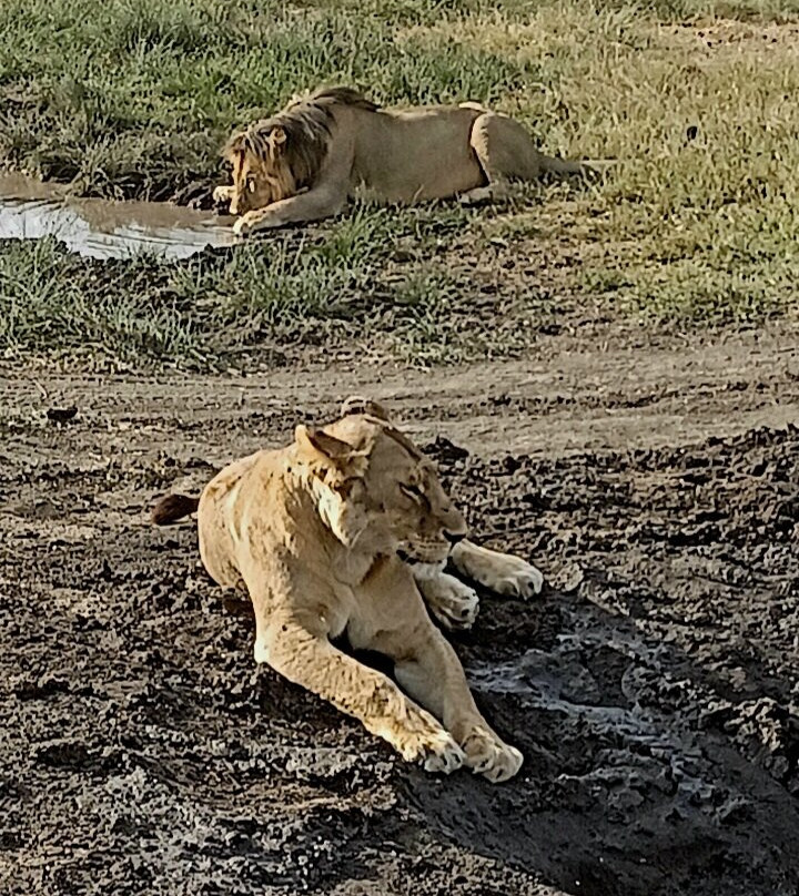 Zara Tanzania Adventures-莫西必去景点