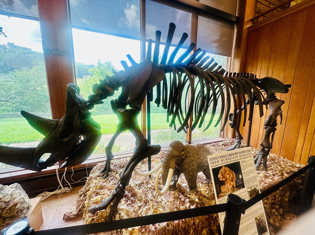 Museum of Geology and Natural History-Cheat Lake必去景点