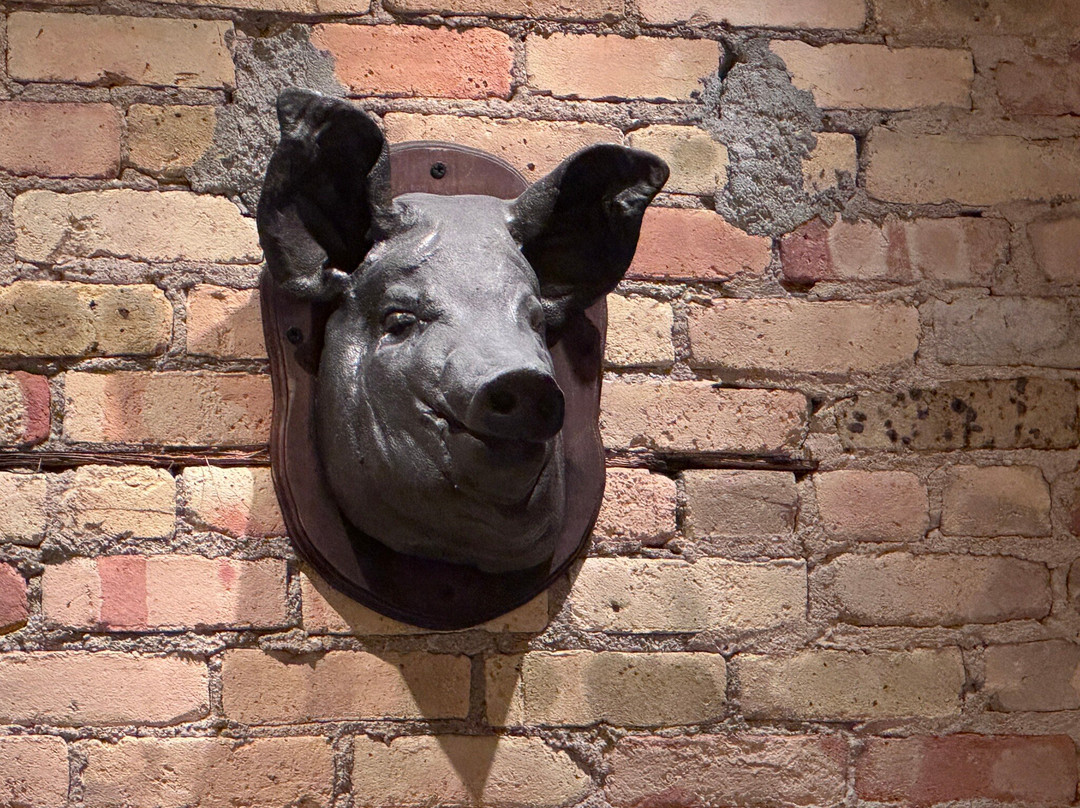 Truffle Pig