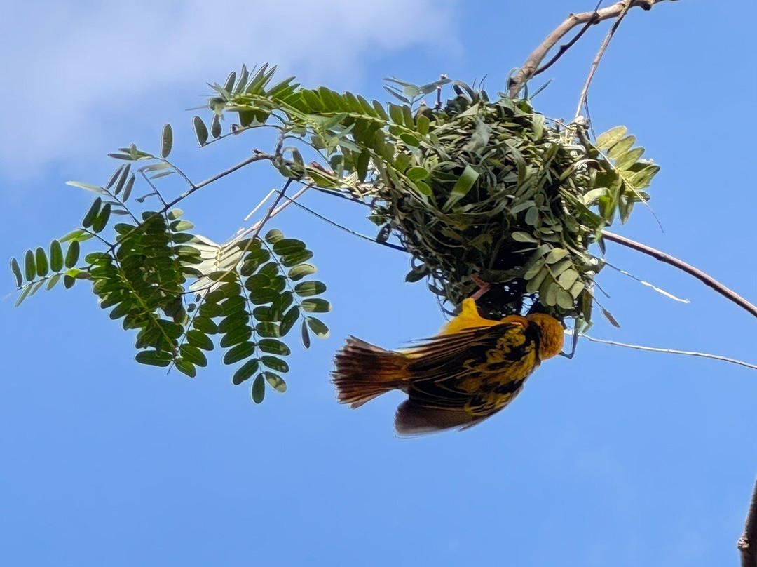 Tanzania Roadside Expeditions-阿鲁沙必去景点