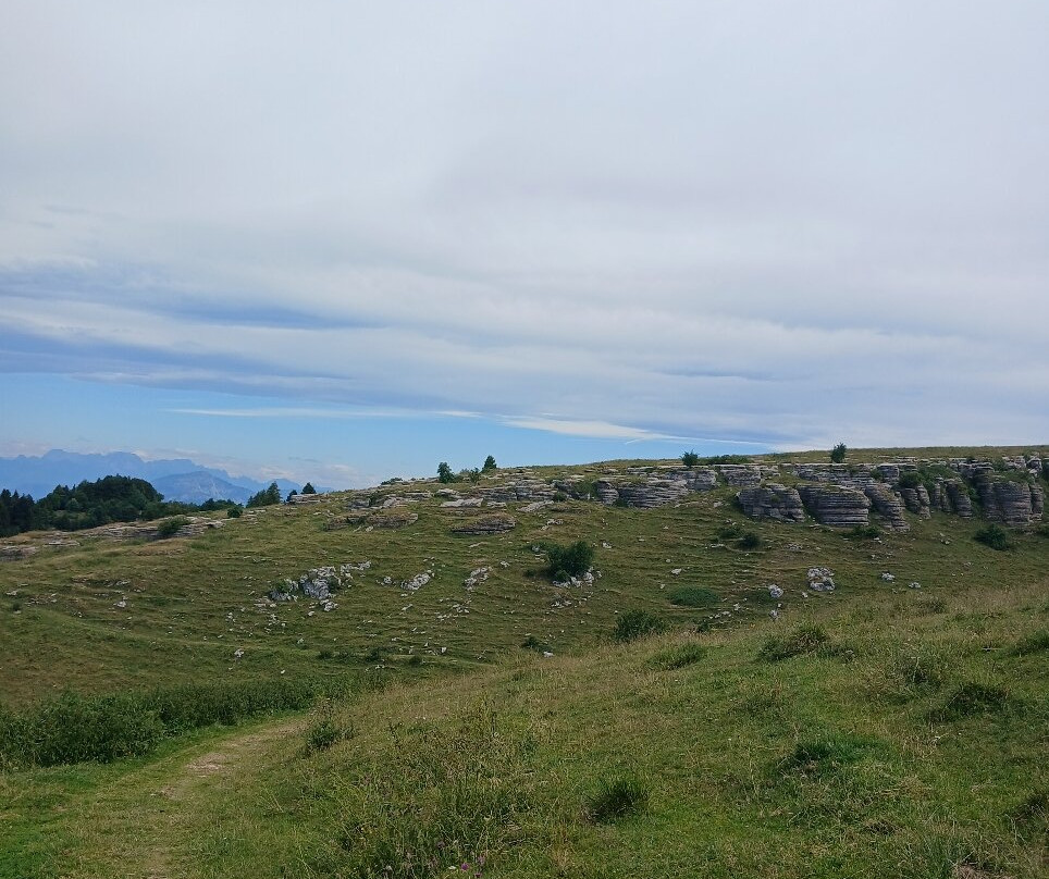 Parco Naturale Regionale della Lessinia-Bosco Chiesanuova必去景点