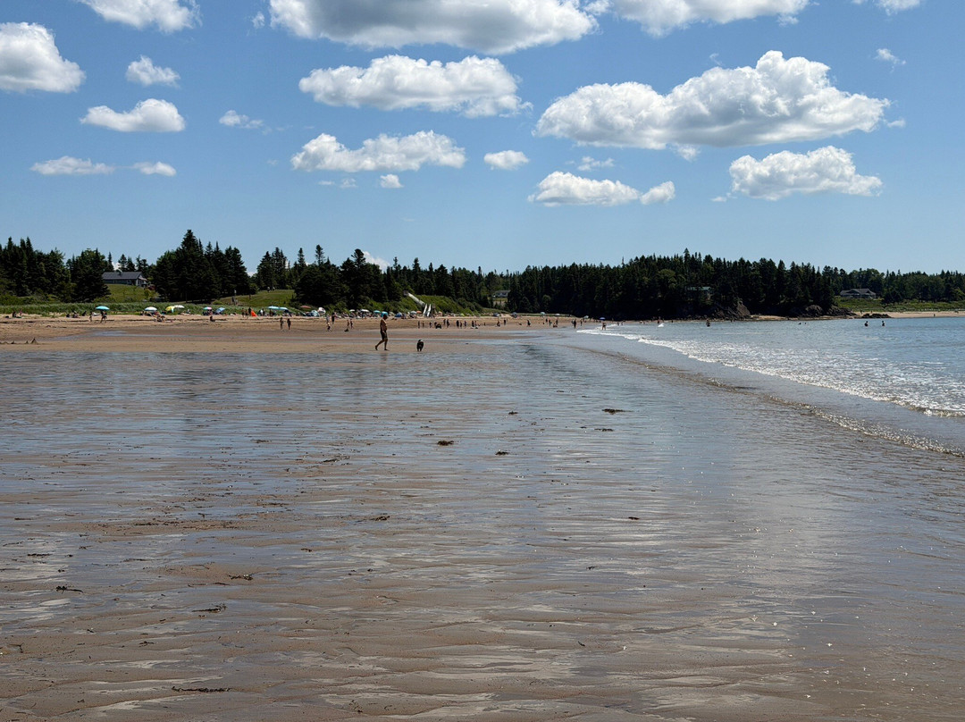 New River Beach Provincial Park-New River Beach必去景点