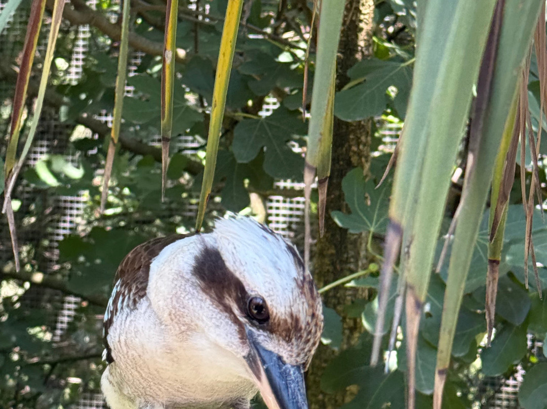 Parc Animalier Des Pyrénées-Ayzac-Ost必去景点