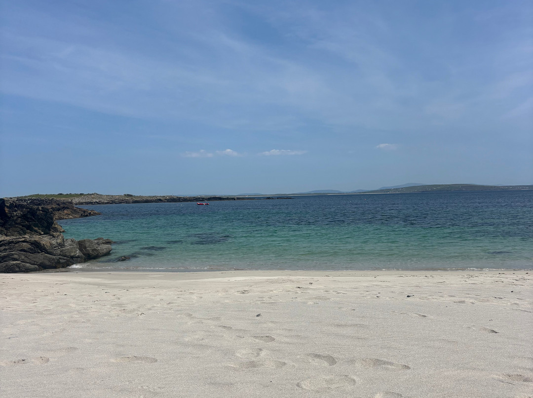 Blacksod Sea Safari-Belmullet必去景点
