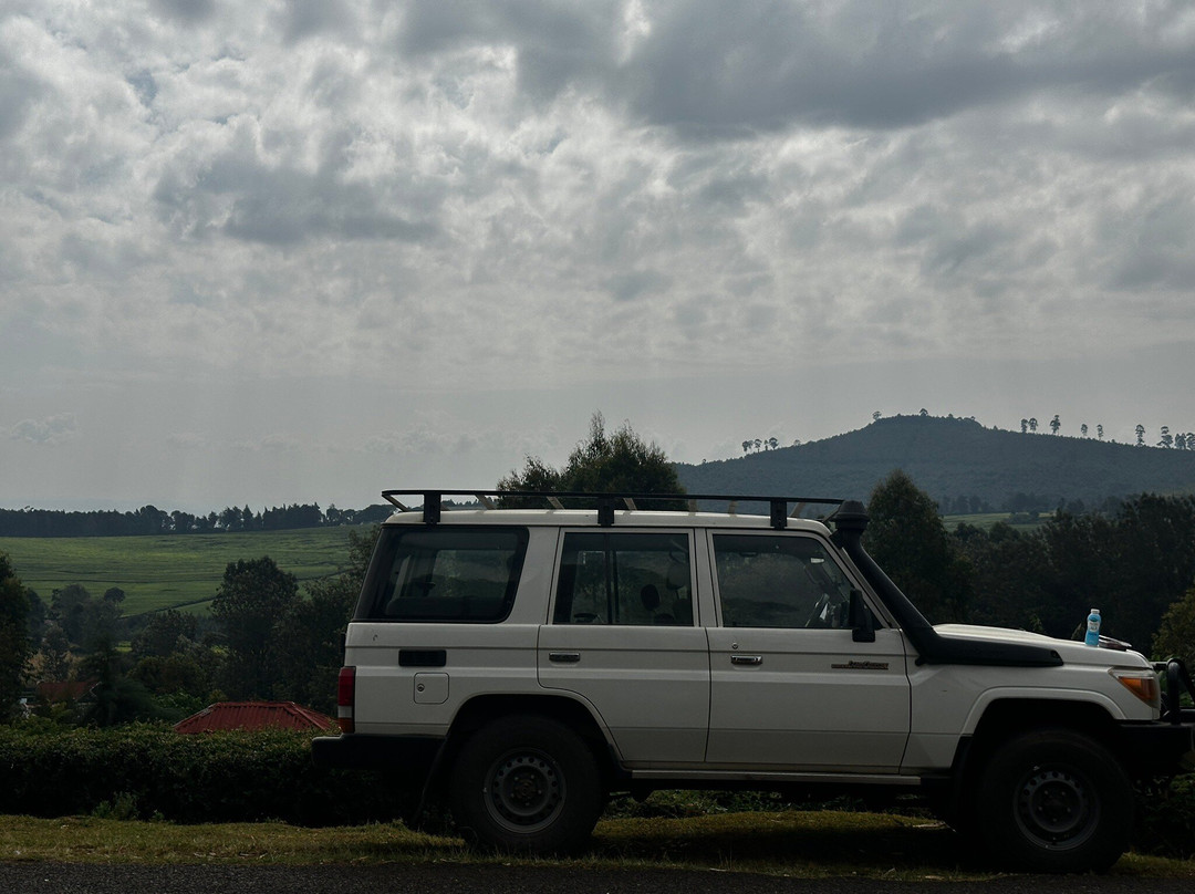 Volcanoes National Park Rwanda-Musanze District必去景点