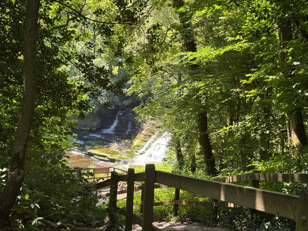 Aysgarth Falls-Aysgarth必去景点