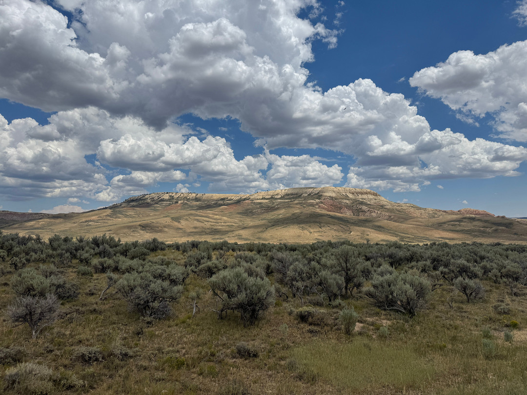Fossil Butte National Monument-Kemmerer必去景点