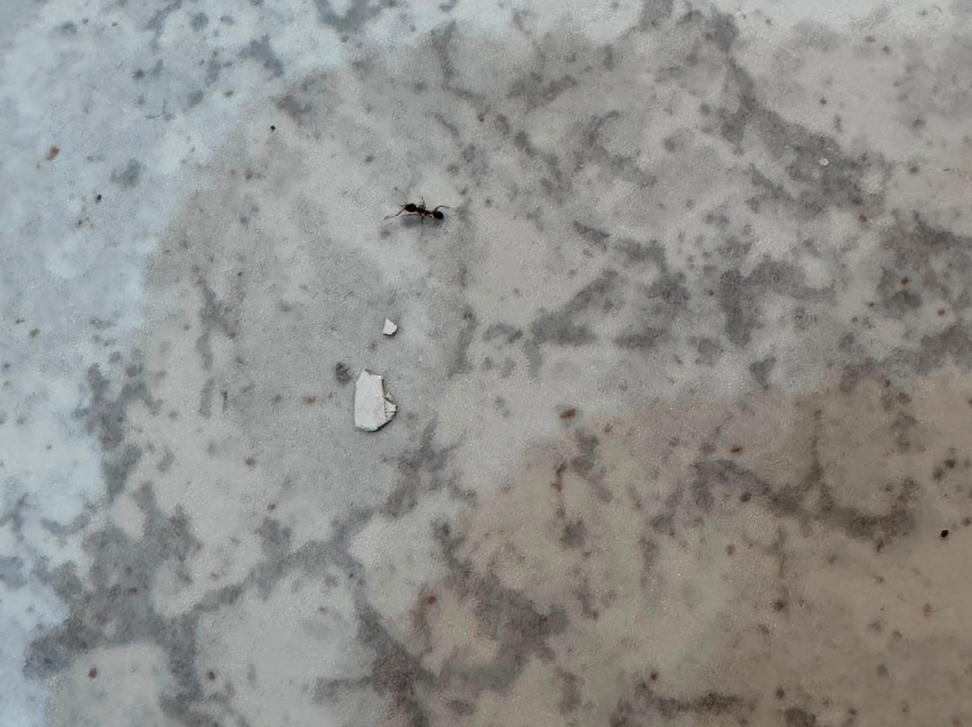 迪米特拉太阳酒店主图