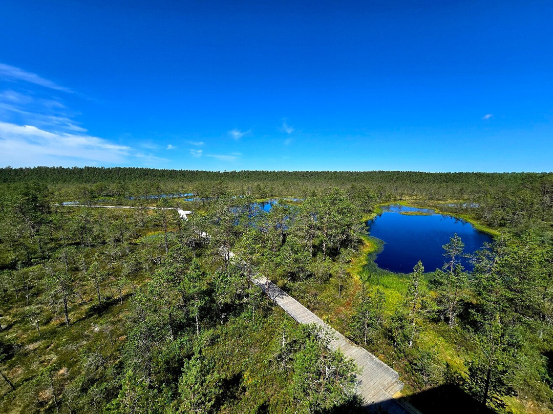 Viru Bog Trail-Kolga必去景点