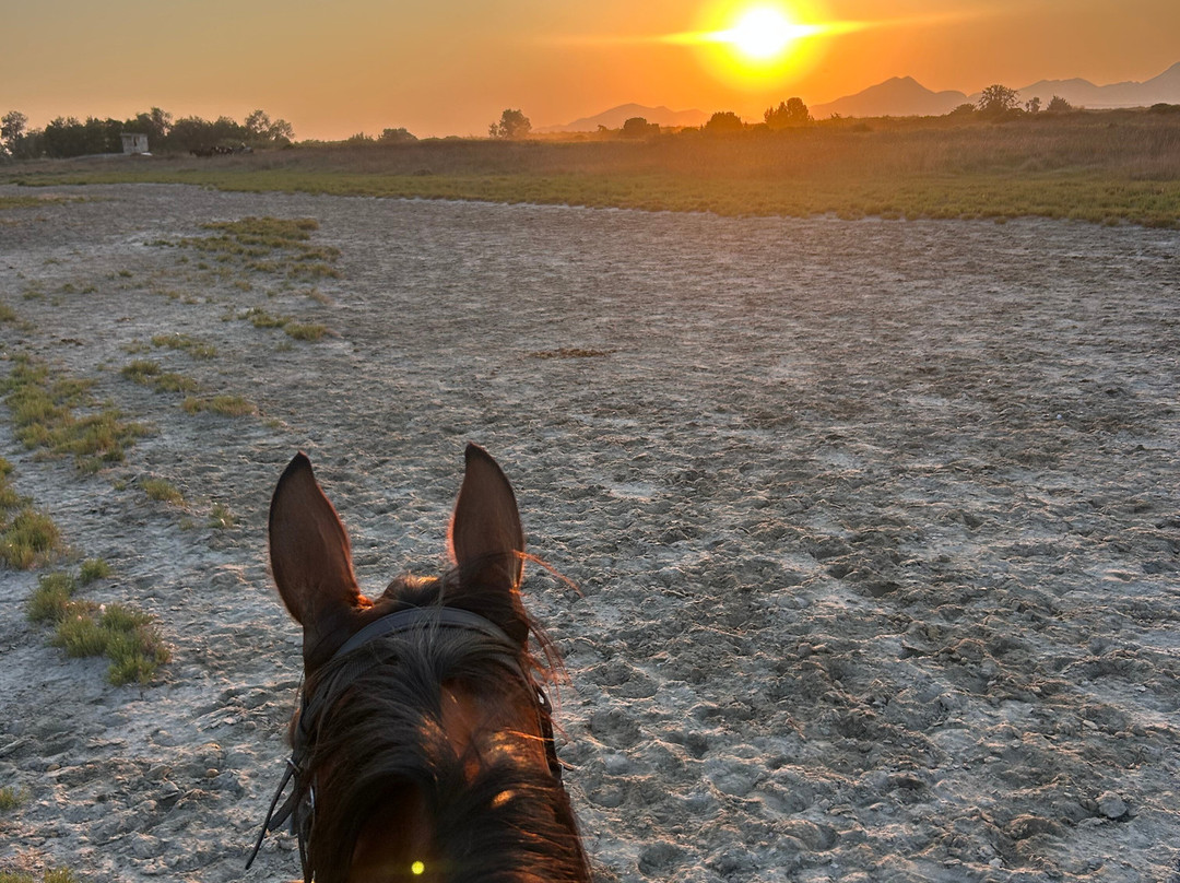 Erika's Horse Farm Kos-Marmari必去景点
