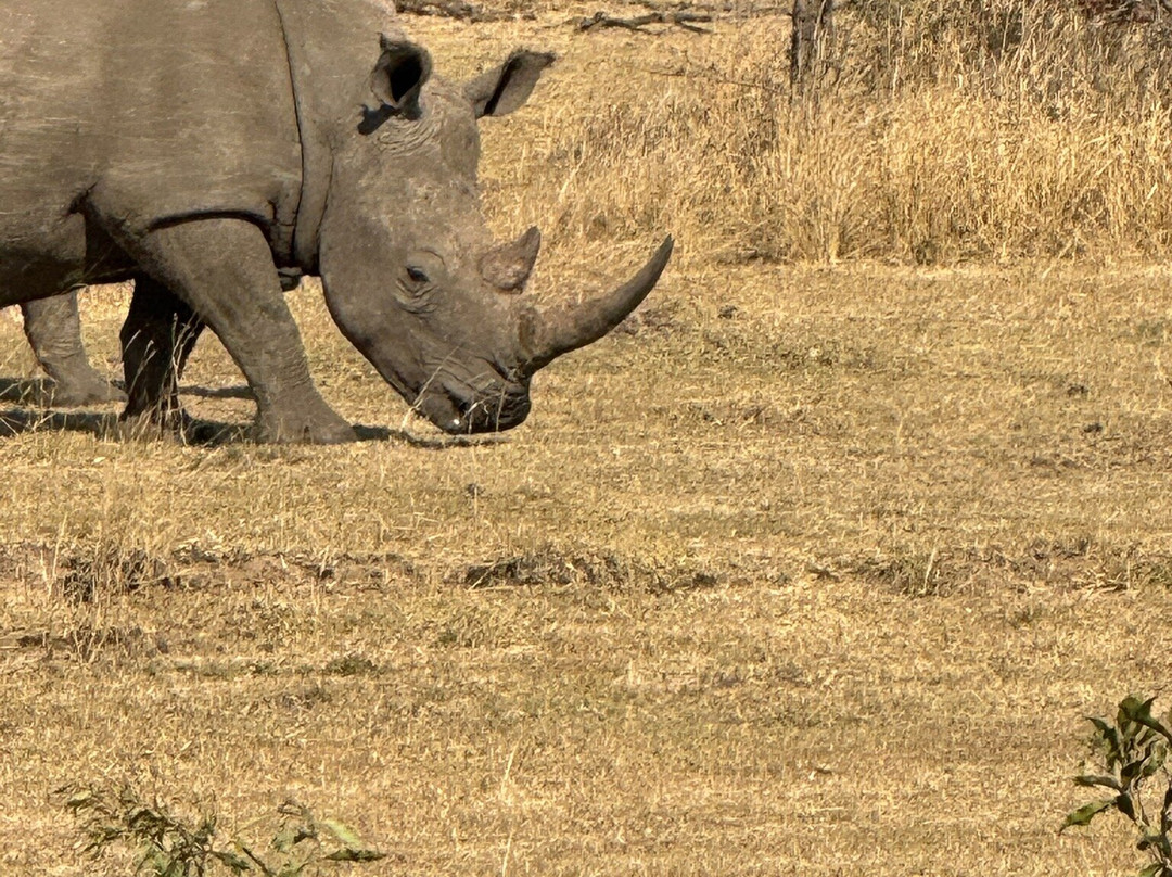 Mosi-oa-Tunya National Park-李文斯顿必去景点