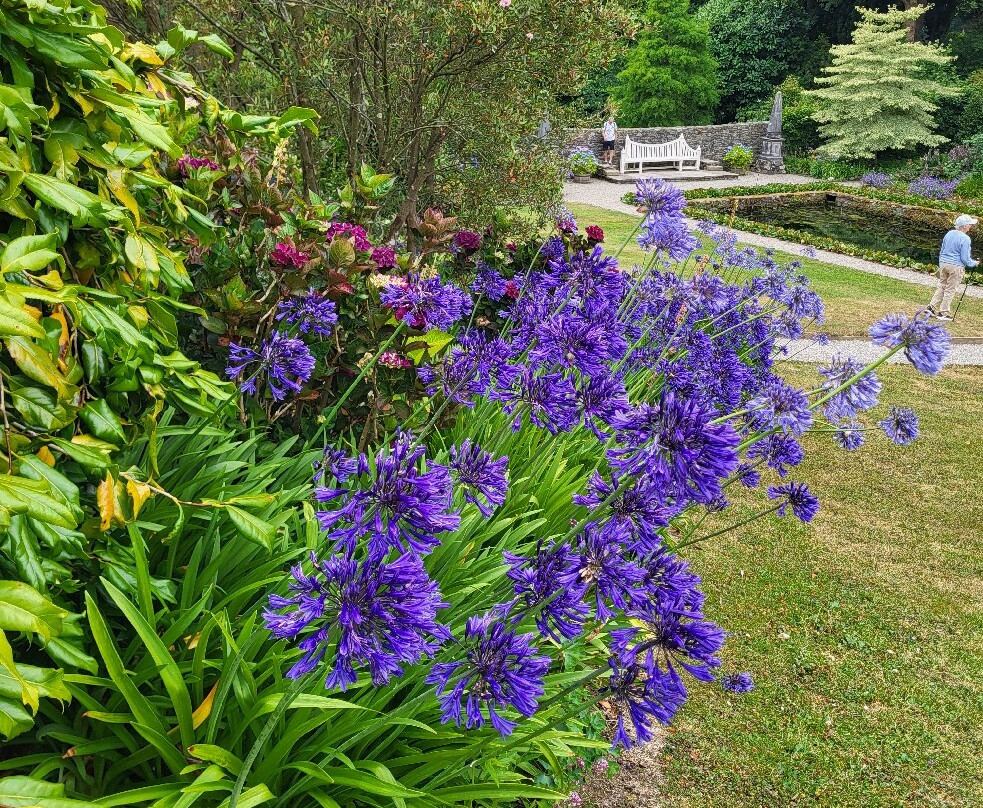 Plas Cadnant Hidden Gardens-Menai Bridge必去景点