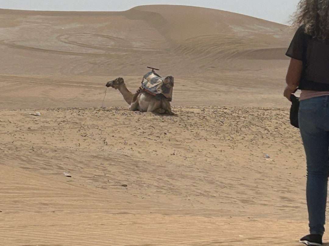 Sun And Sand Quad Agadir-Takate必去景点