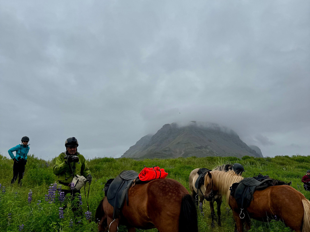 Eldhestar Volcano Horses-Olfus必去景点