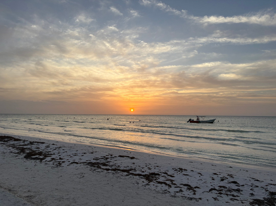 Isla Holbox-Holbox Island必去景点