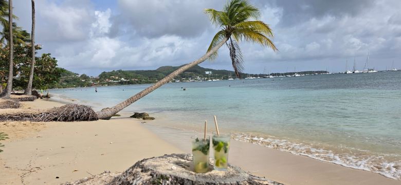 Club Med Les Boucaniers-泳池