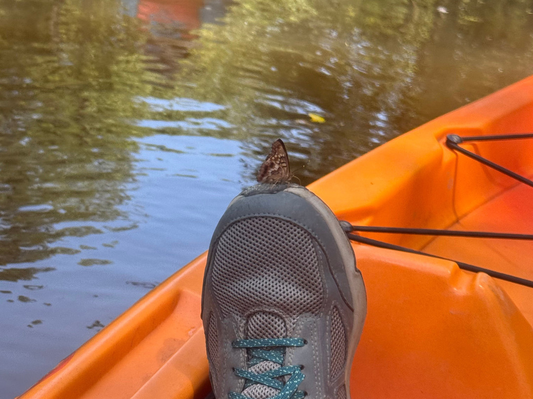 Carolina Outdoor Adventures-厄莫必去景点