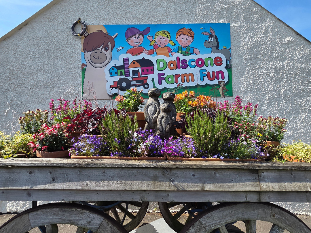 Dalscone Farm Fun-邓弗里斯必去景点