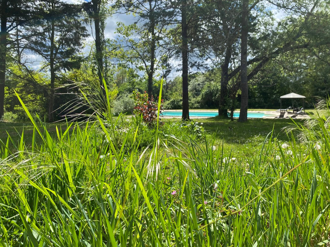 Au Cœur des Acacias