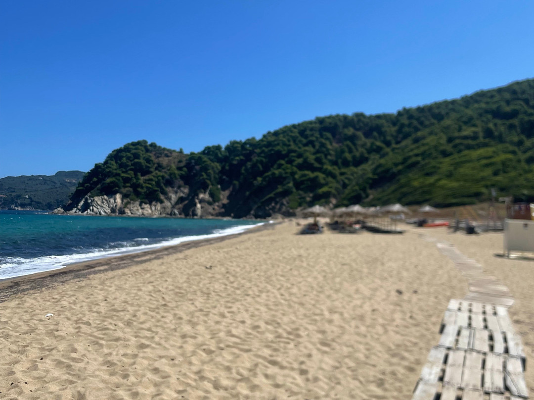 Megalos Aselinos Beach-斯亚索斯必去景点