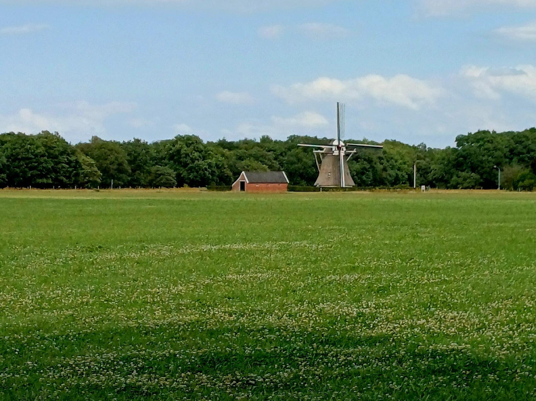 Nationaal Park Drentsche Aa-老磨坊必去景点