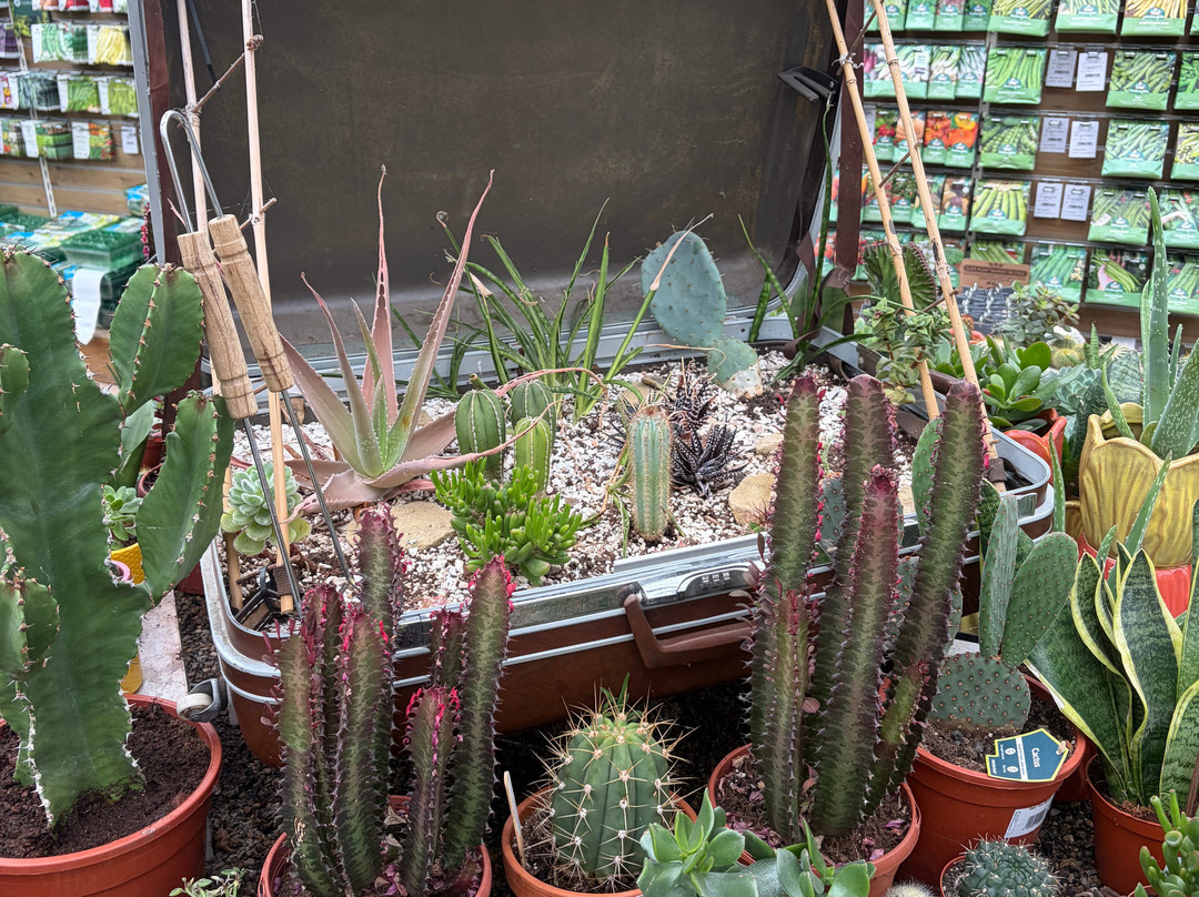RHS Garden Harlow Carr-哈罗盖特必去景点