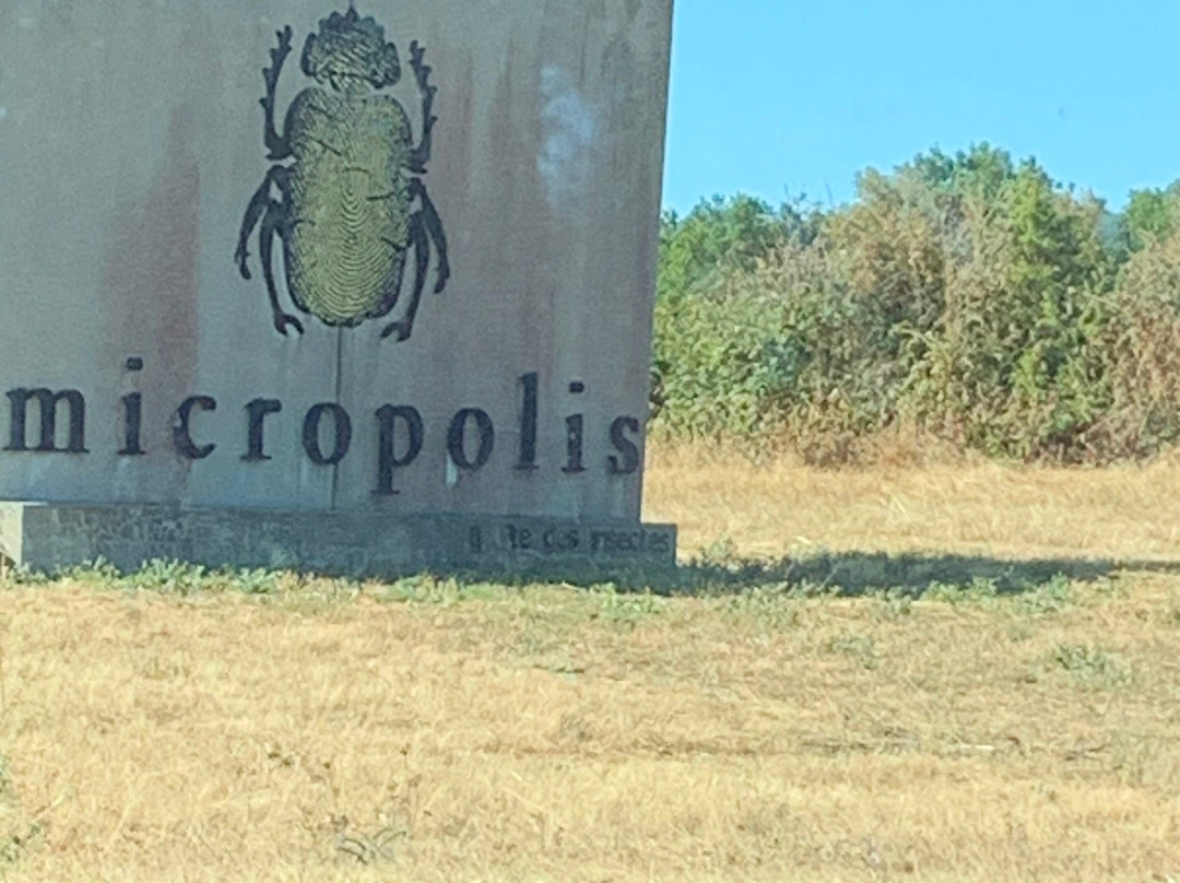 Micropolis La Cite Des Insectes-Saint-Leons必去景点