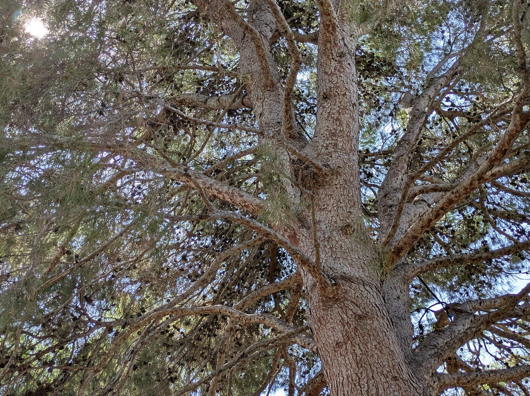 Botanical Garden Ecoherbes Park-L'Ampolla必去景点