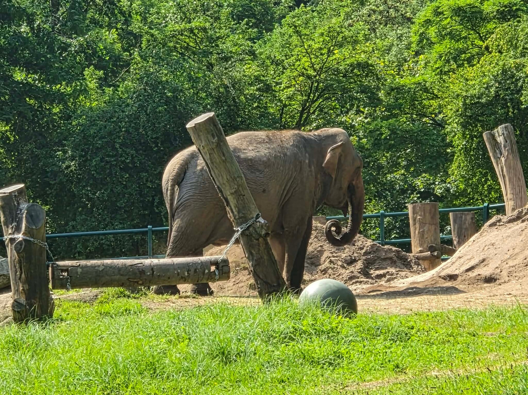 Oliwa Zoo-格但斯克必去景点