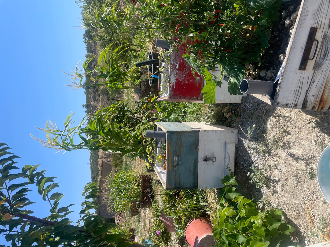Kokkiadis Honey Farm-Athanati必去景点